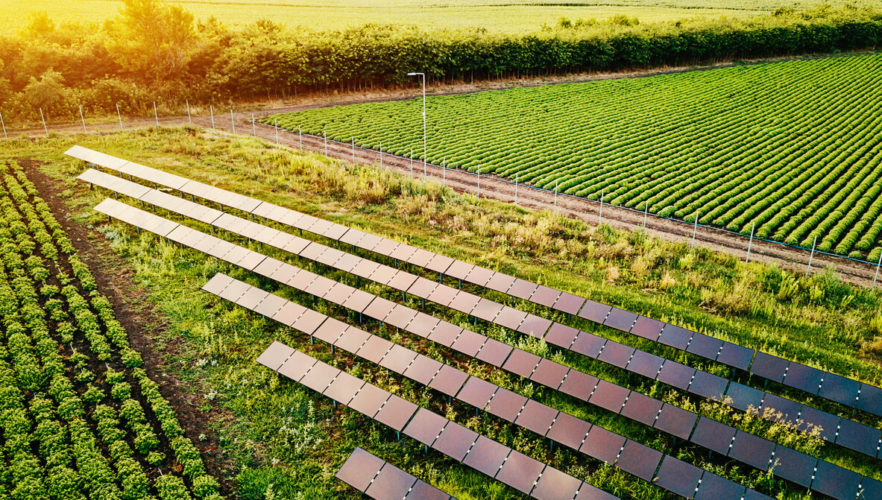 Rural Energy for America Program