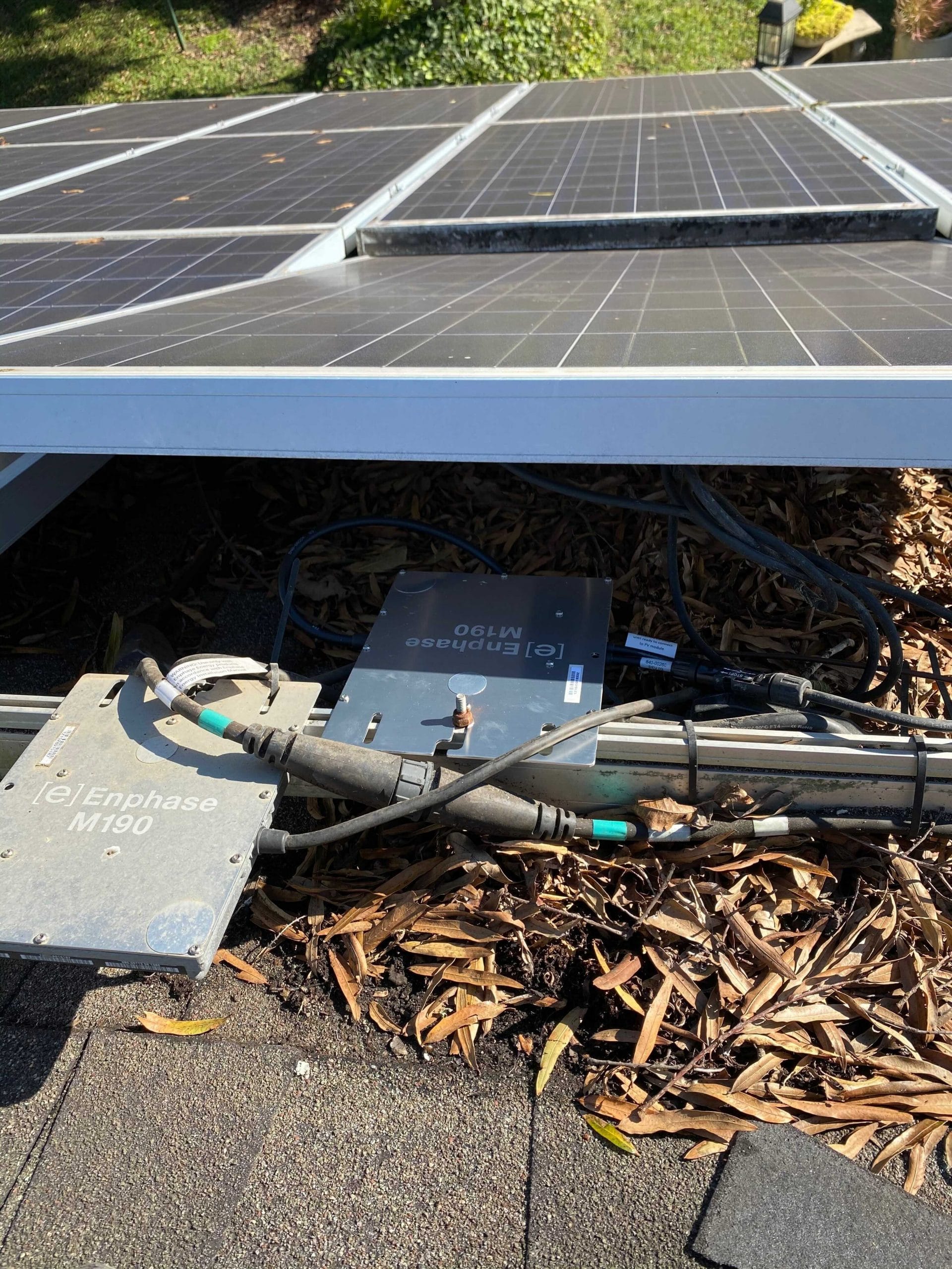 leaves under a solar panel - Solar Alternatives